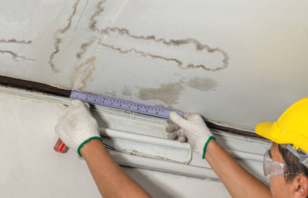 Reliable Mold Remediation contractor in Kurtistown, HI by Water Damage Irwin